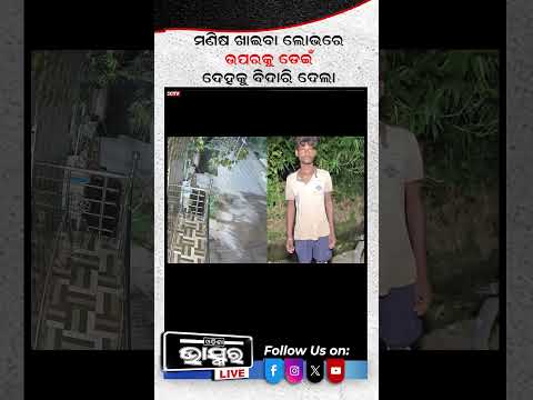 ମାଂସ ଖାଇବାକୁ ଗଛ ପଛରେ ଲୁଚିଥିଲା ଭାଲୁ  #bear #latestnews #odishabhaskar