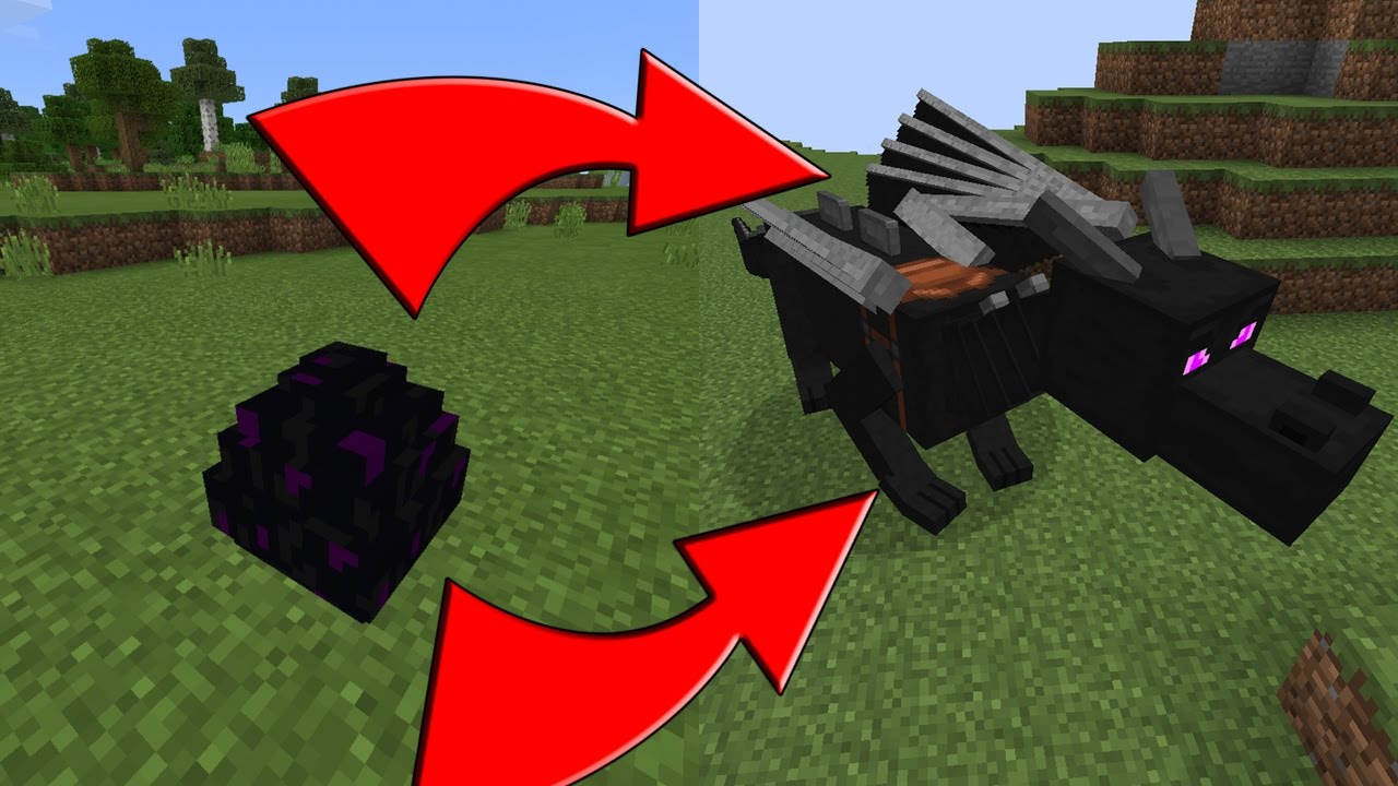 How To Hatch the Ender Dragon Egg in Minecraft PE  MCP 