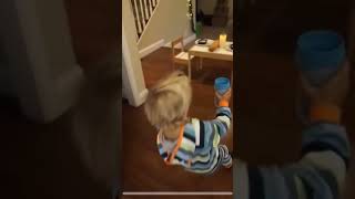 tydis falling