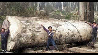 Big Timber - A Canadian Government Film About Bc's Forest Industry From 1935  -  Colorized