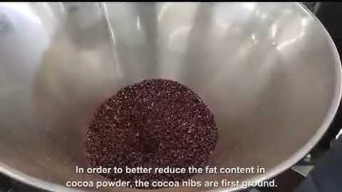 Cocoa beans processing line