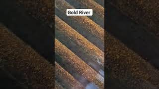 Gold from River mining