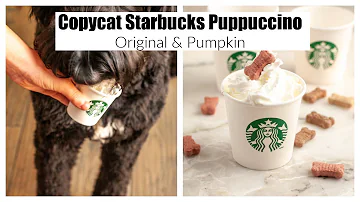 ¿De qué está hecho el Puppuccino de Starbucks?