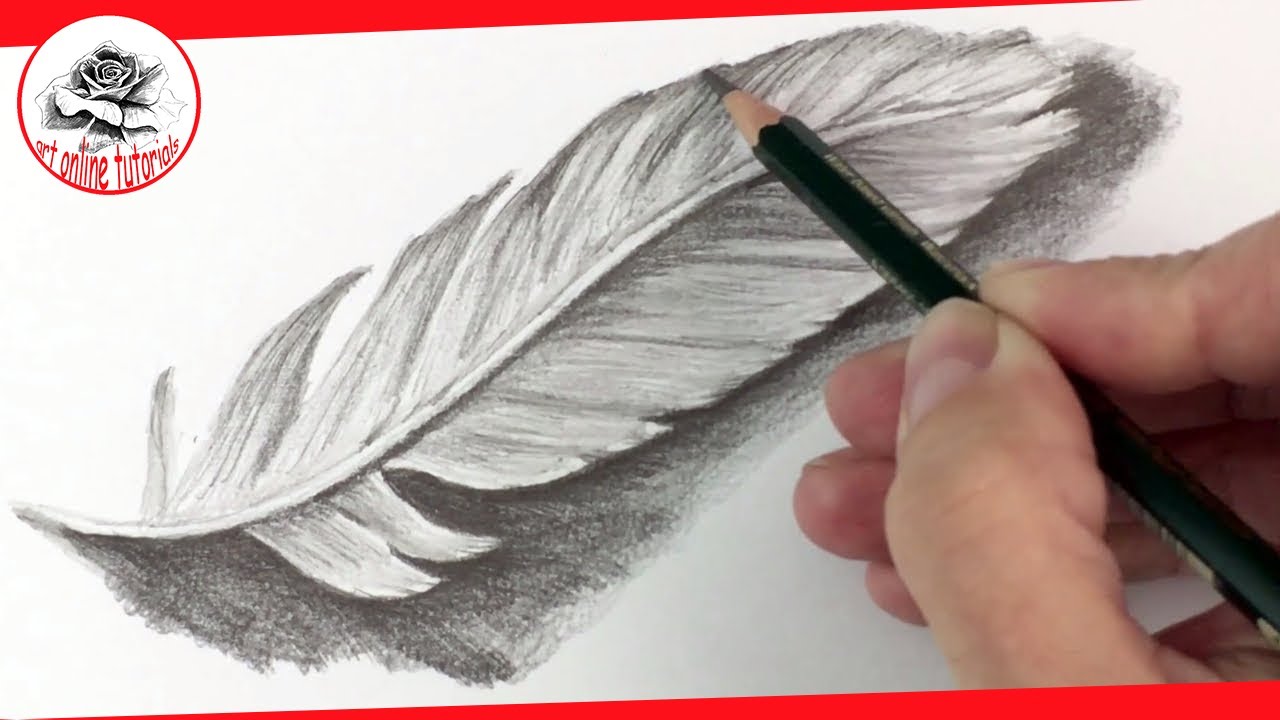 How to Draw a Feather with Pencil step by step  Pencil Drawing Techniques  Subtitled on Screen  YouTube