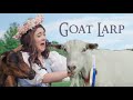 A live action role play event FOR goats! | Connecticut U.S.A