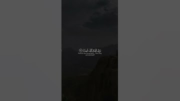 أفلا ينظرون إلى الإبل كيف خُلقت | القارئ عبد الرحمن مسعد | قرأن كريم ..♡