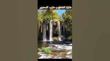 القران الكريم ثواني تريح القلب و تغدي الروح #القران_الكريم #تلاوة #متابعة #مشاركة #المصحف #سورة #نشر