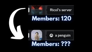 I Turned A Dead Discord Server Into THIS!