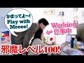 Bothering My Japanese Girlfriend During Work! [International Couple]