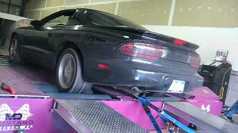 95 Firebird Formula 355 LT1 Procharger P600B Dyno 438hp/445tq