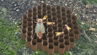 Giant Hornet  - Insect Simulator Gameplay screenshot 2