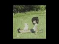 *free* yandere x blxty x senses emotional digicore type beat | "myth" (Prod. levithareal)