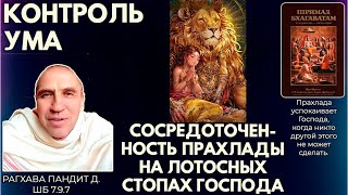 картинка: Контроль ума. Сосредоточенность Прахлады на лотосных стопах Господа. Рагхава Пандит. ШБ 7.9.7