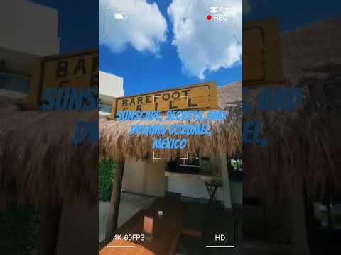 Sunscape,  Secrets and  Dreams Cozumel, Mexico recap. like a