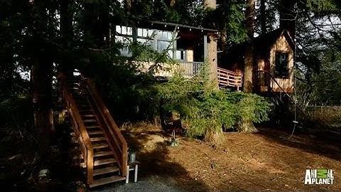 Behind The Build: Bionic Treehouse | Treehouse Masters