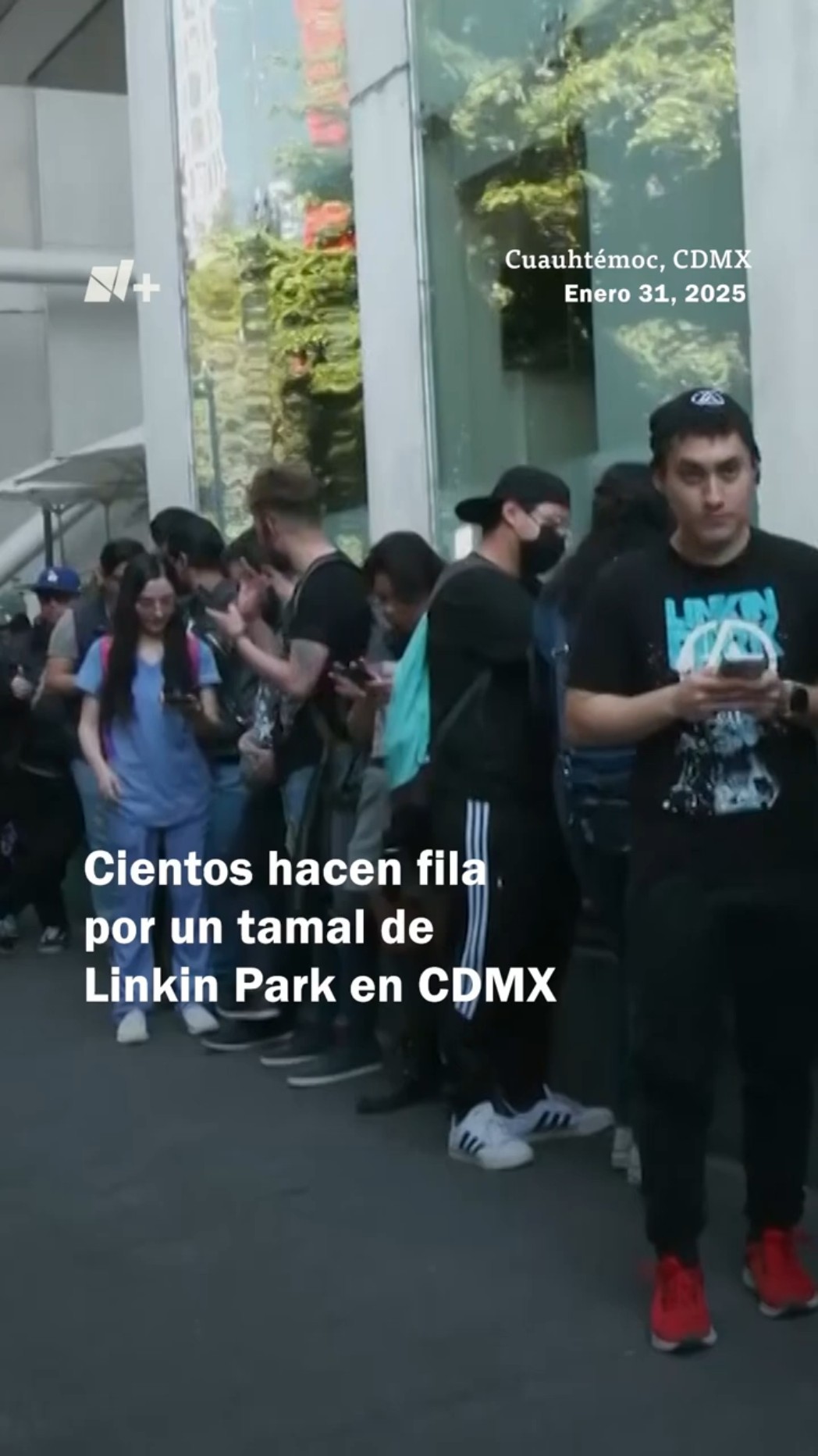 Cientos hacen filas para alcanzar tamal de Linkin Park en CDMX - N+ #Shorts