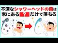 【超簡単】菌まみれのシャワーヘッドを清潔にリセットする掃除ライフハック