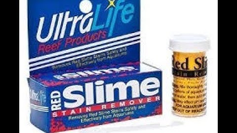 Ultra Life Red Slime Stain Remover Review (Red slime algae)