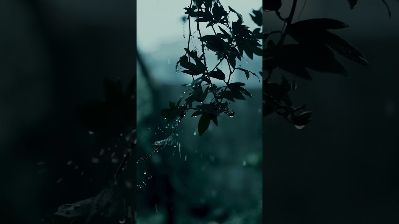 ASMR Contemplative Meditation | Relaxing Green & White Aesthetic for Inner Peace