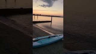 Paddleboard Sunset | Summer Nights #Shorts