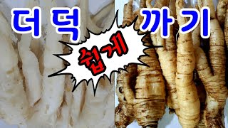 더덕까는법  더덕껍질 쉽게 까는법 끈적함이 없다 더덕손질법