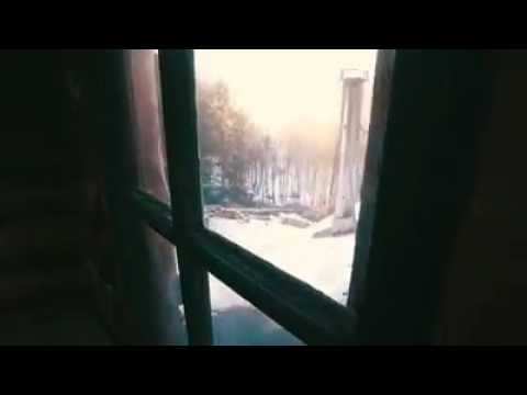 ბედნიერება