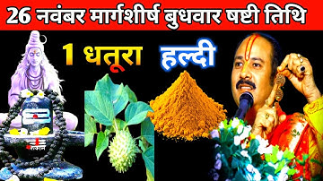 26 नवंबर मार्गशीर्ष बुधवार षष्टी तिथि को 1 धतूरा और हल्दी वाला उपाय जरुर करें Pandit Pradeep Mishra