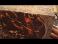 Beginning of video