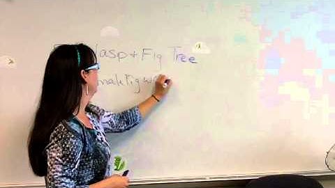 Fig Wasp and Fig Tree Story video