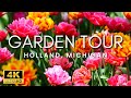 The most beautiful tulip garden tour of holland michigan  bird sounds 4k