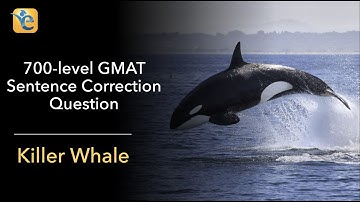 700-level GMAT SC question explained - Killer Whale