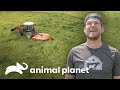 Dan e irmão preparam o pasto para receber os animais | Santuário Animal | Animal Planet Brasil