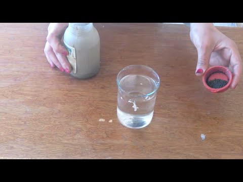 شاهد انتشار برمنجانات البوتاسيوم البنفسجية فى الماء منى تمراز