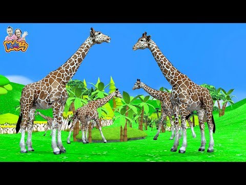 เพลงยีราฟคอยาว - เพลงเด็กพี่นุ่น น้องภูมิ By KidsMeSong