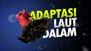 Adaptasi Makhluk Laut Dalam #AlamSemenit