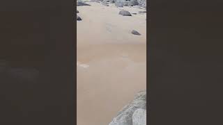 NOOSA BEACH HIKING #highlights #everyone #youtube #everyone #Travel #holidaydestinations
