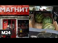 В Люблине выявляют возможных пострадавших от отравления - Москва 24