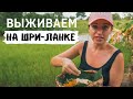 ШРИ-ЛАНКА НА ВЫЖИВАНИЕ. НА КРЕЙЗИ БАСЕ ПО ОСТРОВУ.