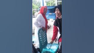 WARGA SINTUWU MENGADAKAN HUT RI 80 DENGAN LOMBA2@mudji55