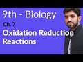 Matric part 1 Biology, Oxidation Reduction Reactions  - Ch 7 Bioenergetics - 9th Class Biology