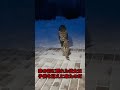 ある男性が山道を走っていると