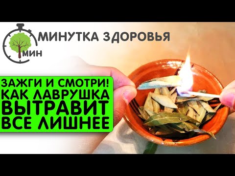 С дымом лаврового листа уходит ТАКОЕ! Необратимые изменения всего пары листов!