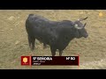Sorteo toros de Jandilla y Vegahermosa en Sevilla, viernes 29 de abril 2022