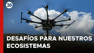 como-funcionan-los-drones-reforestadores-26global