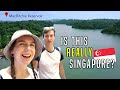Is this Singapore? INCREDIBLE Nature Reserve at MacRitchie Reservoir! We Saw a WILD BOAR