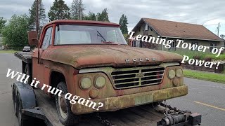 Will this 1964 Dodge D100 Run AND Drive again?? Sitting 5+ years?