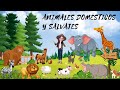 ANIMALES DOMESTICOS 🐶 y SALVAJES 🦒 para NIÑOS