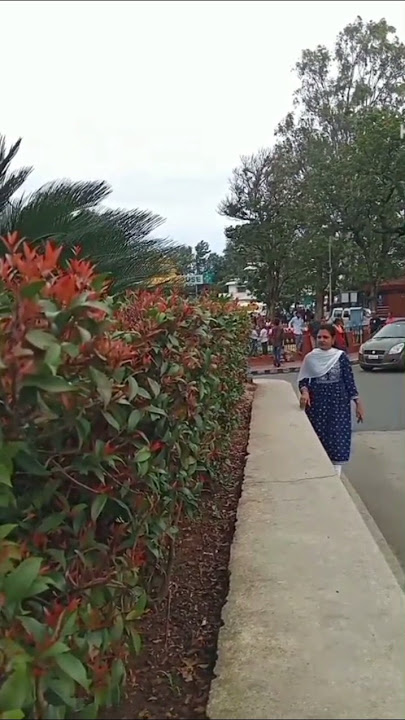 super old song. #love #movie #tamilsong #4k #nallavanukkunallavan #unnaithaane  #spmuthuraman