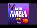 Mix perreo intenso 2024 remix