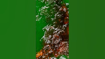 Can you guess what this macro photo is? Day 436